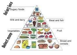 Food pyramid a balanced diet chart