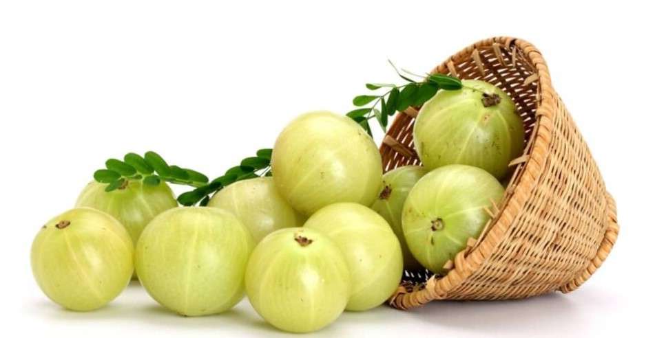 Benefits of Amla or Indian Gooseberry