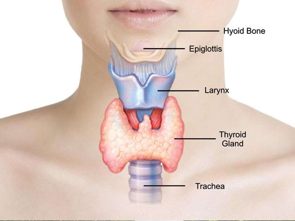 Thyroid Problems pic